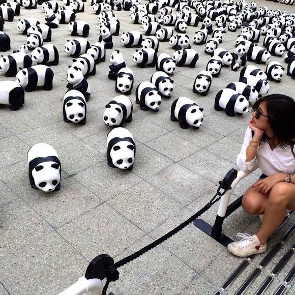 Meet your Posher, Daniella - Picture 1 of 1